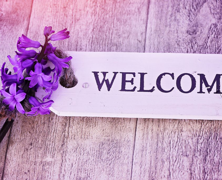 hyacinth-787758 welcomeschild mit hyazinthe